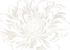 Панно Керлайф Strato Anemone Crema 50.2x70.9