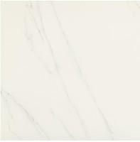 Керамогранит Piemme Valentino Marmi Reali Carrara Lev Ret 60x60 00221