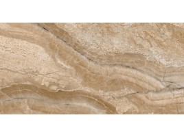 Itaca Bolonia