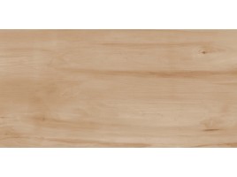 Paint (Realistik)