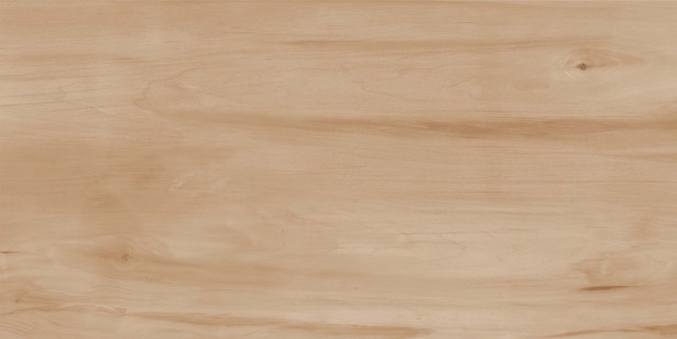 Paint Wood Bone Matt
