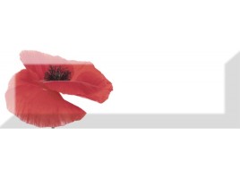 Poppy (Absolut Keramika)