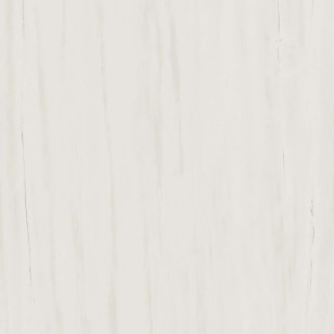 Керамогранит напольный AZQS Marvel Stone Bianco Dolomite 60x60 Atlas Concorde Italy