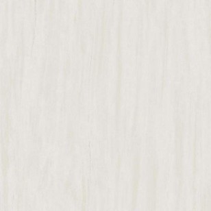 Керамогранит напольный AZTT Marvel Stone Bianco Dolomite Lappato 120x120 Atlas Concorde Italy