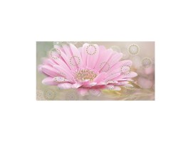 Мечта (Belleza)