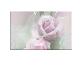 Розовый свет (Belleza)