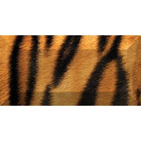 Бордюр рельефный br1020D210-1 Africa 20х10 Ceramica Classic