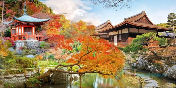 Панно Japan P4D301 80х40 Ceramica Classic