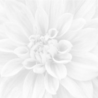 Панно Sigma Crisantemo из 3-х шт 36-05-00-463-0 60x60 Ceramica Classic