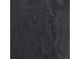 Oxidia (Cerdomus)