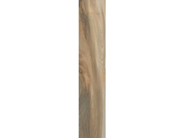 Savanna (Cerdomus)