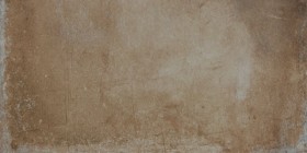 Керамогранит 62016 Verve Cotto 30x60 Cerdomus