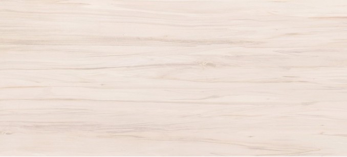 Настенная плитка BNG011D Botanica бежевый 20x44 Cersanit