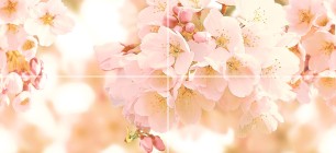 Панно CW2H454DT Sunrise Cherry многоцветное 40x88 Cersanit