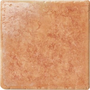 Керамогранит 1012603 Marble Age ROSSO PERSIA 10x10 Cir Ceramiche