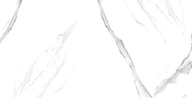 Керамогранит Neodom Ambassador Alaska White Glossy 60x120 CV20225