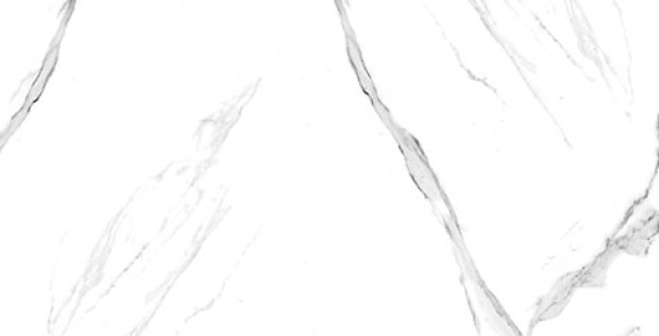 Керамогранит Neodom Ambassador Alaska White Glossy 60x120 CV20225