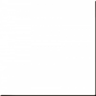 Керамогранит напольный RW 001 Rainbow полированный 60х60 Estima
