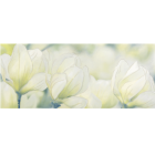 Декор 10301001711 Rapsodia olive decor 01 25x60 Gracia Ceramica