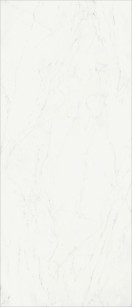 Керамогранит Italon Charme Deluxe Bianco Michelangelo Lux 120x278 600180000004