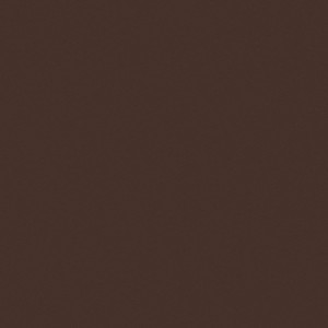 Керамогранит Керамика Будущего Моноколор 60x60 шоколад матовый CFUF006MR 