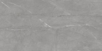 Плитка Laparet Savoy тёмно-серый 20x40 настенная 00-00-5-08-01-06-2460