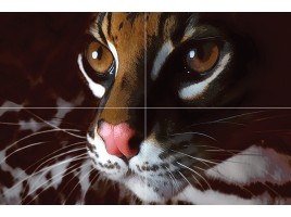 Home master (Муза-Керамика)