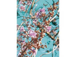 Spring (Муза-Керамика)