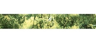 Бордюр B300D259 Waterfall mountains 30х4.5 Муза-Керамика