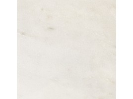 I Bianchi Di Rex (Rex Ceramiche)