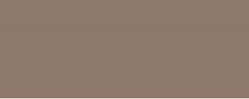 Настенная плитка Colour mocca Gat.1 29.8x74.8 Tubadzin