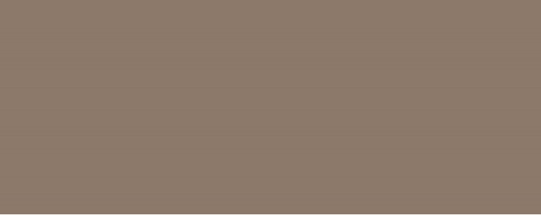 Настенная плитка Colour mocca Gat.1 29.8x74.8 Tubadzin