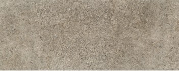 Настенная плитка Lemon Stone grey 29.8x74.8 Tubadzin