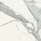 Керамогранит PP-06-359-1198-1198-1-004 Specchio Carrara Pol 119.8x119.8 Tubadzin