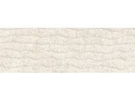 Contour (Venis)