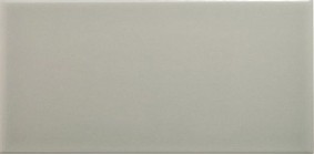 Настенная плитка ADNE1094 Neri Liso PB Silver Mist 10x20 Adex