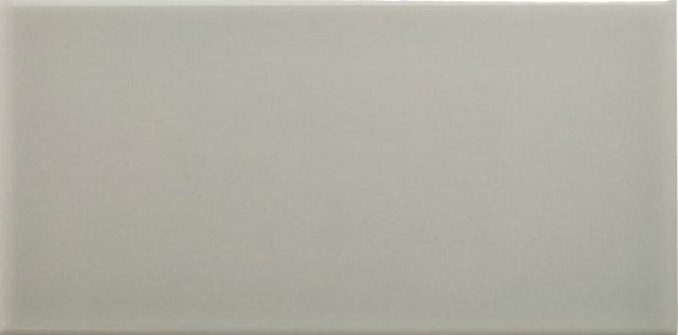 Настенная плитка ADNE1094 Neri Liso PB Silver Mist 10x20 Adex