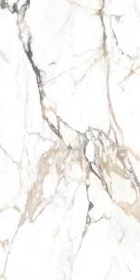 Керамогранит Alpas Euro Eco Marble 6582 Polished 60x120