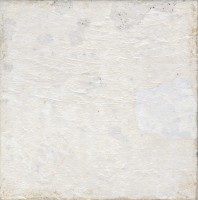 Настенная плитка Aged White 20x20 Aparici