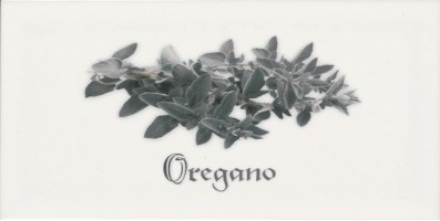 Декор Biselado Decor Blanco Oregano 10x20 Ape Ceramica