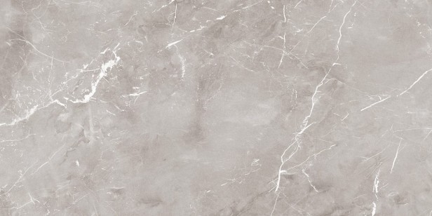 Керамогранит Ariana Epoque Grey Lap 60x120 PF60004301