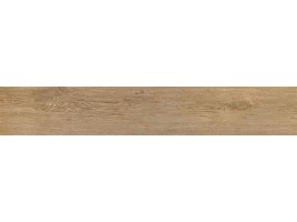 Caesar Root