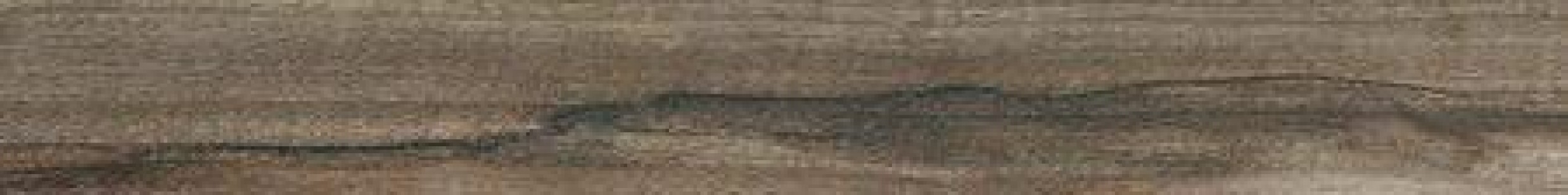 Плинтус Casa Dolce Casa Wooden Tile Of CDC Walnut Battiscopa 4.6x60 745615