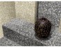 Мозаика Galaxy Stone Grey Wood 30.5x30.5 камень SY-W08P