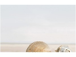 Summer Stone Holiday (Golden Tile)