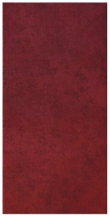 Плитка Imola Ceramica Chine 60x30 настенная Chine36R
