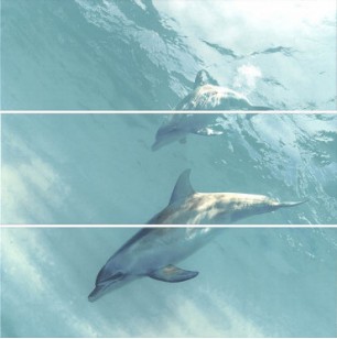 Настенное панно HGD/A55/3x/12093R Искья Дельфины обрезной (3 части) 75x75 Kerama Marazzi 