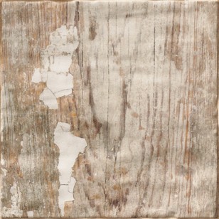Настенная плитка PT02614 Colonial Teca 20x20 Mainzu