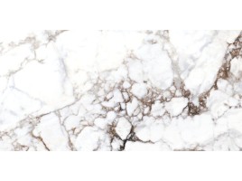 Breccia (Museum)