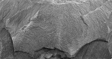 Натуральный камень Pharaon Сланец Черный (машрум) 20x40